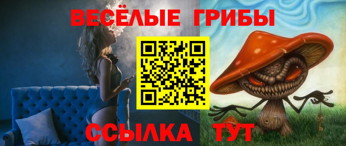 Галлюциногенные грибы мицелий  Вход с VPN  Кемерово 