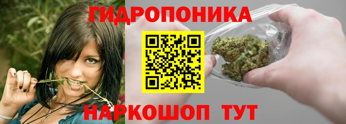 Бошки Шишки MAZAR  Вход с VPN  Канабис планчик  Марихуана White Widow  Кемерово  Канабис тримм 